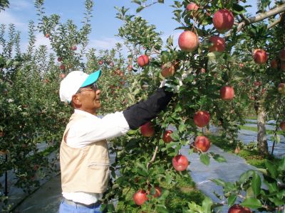 ӂꂠ_Ɠcɑ̌ƃ[̂܂