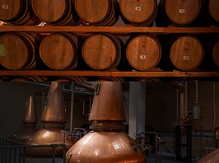 冬の鶴ヶ城 雪白と赤と藍を纏う旅、藍染め体験と天鏡蒸留所2日間