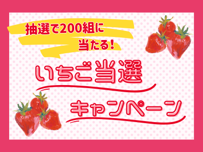 200組に当たる！いちこ当選キャンペーン 